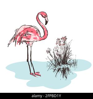 Skizze eines rosa Flamingovogels. Helle Cartoon tropischen Vogel Flamingo isoliert auf weißem Hintergrund. Trendiges Sommerdesign. Vektorgrafik Stock Vektor