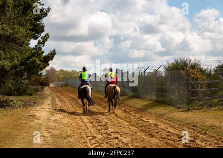 Woodbridge, Suffolk, Großbritannien, 01 2021. Mai: Eine Veranstaltung zum Reiten auf dem Reitweg Stockfoto