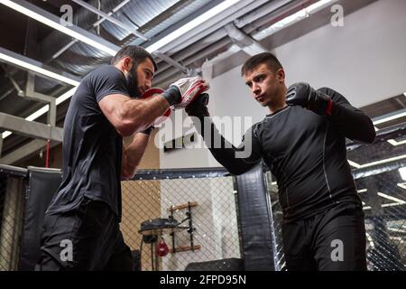 Mixed Martial Artists Training vor dem Kampf, üben Kickboxen, Kraft und Motivation. Sportler, die selbstbewusst trainieren, tragen Handschuhe Stockfoto