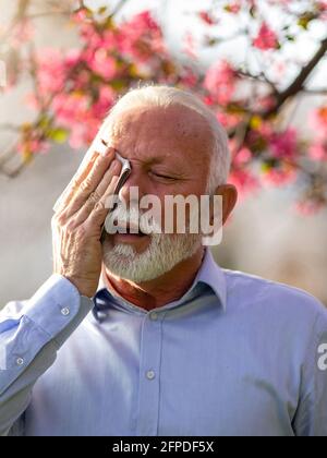 Älterer Mann mit Allergiesymptomen, der bei Schmerzen Gewebe am Kopf hält. Elrerly Person, die an Heuschnupfen leidet und die Augen reißt Stockfoto
