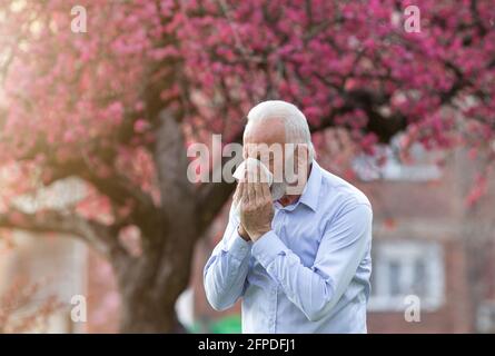 Älterer Mann hustet in Taschentuch-Gewebe. Ältere Menschen, die an Heuschnupfen-Rhinitis leiden. Stockfoto