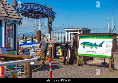 Mann, der eine Tasche mit frischen Garnelen von Fisherman's trägt Kai in Steveston, British Columbia, Kanada Stockfoto