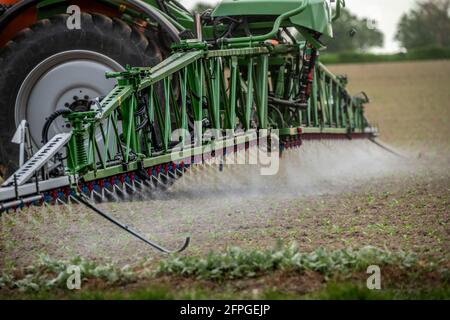 Landwirtschaft, Pflanzenschutzmittel wird auf ein Feld gesprüht, Zuckerrüben-Setzlinge, NRW, Deutschland Stockfoto