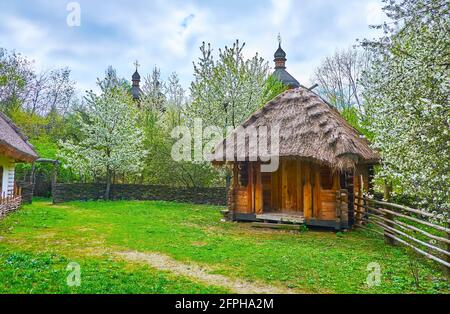 Die kleine Holzscheune des alten Kosakenbesitzes mit einem üppig blühenden Garten und den Kuppeln der Holzkirche im Hintergrund, Mamajeva Sloboda Kosaken V. Stockfoto