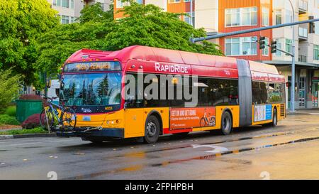 Redmond, WA, USA - 19. Mai 2021; EINE King County Metro artikulierte Rapid Ride-Bus in der Innenstadt von Redmond Washington im Regen, der auf nassen Straßen unterwegs war Stockfoto