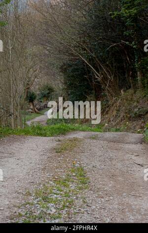 Landschaft einer Straße in einem rat von Asturien, Spanien.das Foto ist in vertikalem Format und im Freien aufgenommen. Stockfoto