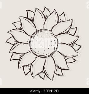 Isolierte Skizze einer Sonnenblume Vektor-Illustration Stock Vektor