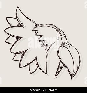Isolierte Skizze einer Sonnenblume Vektor-Illustration Stock Vektor