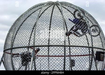 Globe of Death, Motorradfahrer Stunt Reiten in einem Globus. Motorrad Stunt Motorradfahrer in einem Mesh-Kugel-Ball. Zirkus, Karnevalsvorstellung Stockfoto