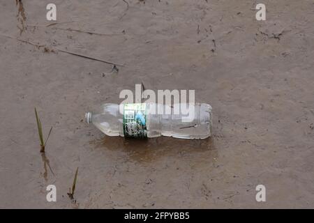 Eine ausrangierte Wasserflasche aus Plastik im Schlamm, ein Symbol für die Umweltverschmutzung durch Plastikmüll Stockfoto