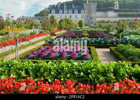 Chateau de Villandry Gardens, Loire-Tal, Frankreich Stockfoto