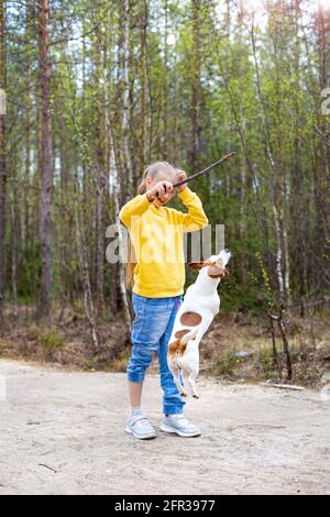 Ein Mädchen im Teenageralter mit langen Haaren spielt im Park mit einem Stock mit einem springenden Hund. Stockfoto