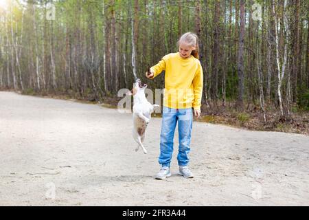 Im Sommer spielt ein Mädchen mit langen Haaren im Teenageralter im Park mit einem springenden Hund. Stockfoto