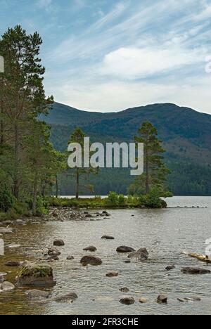 Loch an Eilein in der Nähe von Aviemore, Cairngorms, Schottland Stockfoto