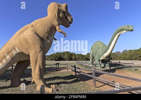 Texas/USA - 13. März 2018: Zwei Dinosaurierfiguren im Dinosaur Valley State Park, Texas. Große T-Rex und Apatosaurus Statuen draußen. Stockfoto