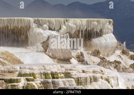 Wasser tropft aus dem weißen Travertin-Vorsprung der Mammoth-Terrassen im Yellowstone-Nationalpark, WY, USA. Stockfoto