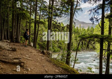 Wanderer mit Blick auf McDonald Creek Stockfoto