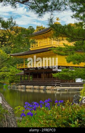 Kinkaku-ji, Goldener Pavillon, Kyoto Stockfoto