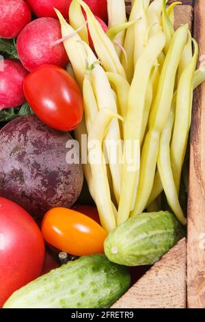 Frische reife Gemüse als gesunden Zutaten, Vitamine und Mineralien für verschiedene Gerichte kochen Stockfoto