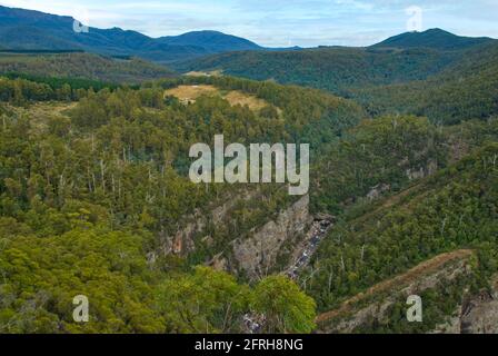 Leven Canyon, Tasmanien, Australien Stockfoto