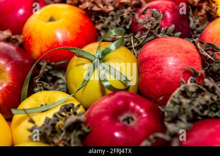 Rote, leckere Äpfel in der Nähe auf einem Hintergrund aus grünem Moos, Geschenkdekoration mit grünem Band Stockfoto