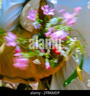Ein Bouquet von gepflückten wilden Blumen mit Bewegungsunschärfe wie Das Schwanken im Rucksack Stockfoto