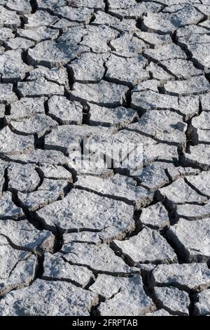Unfruchtbares Land riss während eines längeren Trockengehens Stockfoto