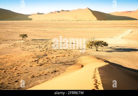 Von der Spitze der Dune 45 aus hat man einen hohen Blickwinkel Der Weg nach Deadvlei bei Sossusvlei - Namibian world famous Wüste - afrikanisches Naturwunder Stockfoto