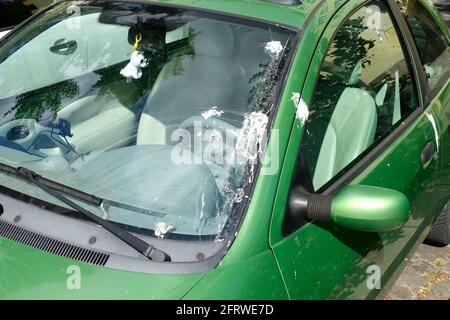 Vogelkot im Auto, Berlin Stockfoto