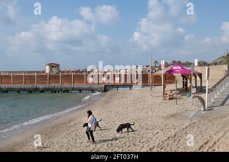 Eine Frau spaziert mit ihrem Hund und streunenden Hunden am Hundestrand in Tel Aviv. Israel Stockfoto