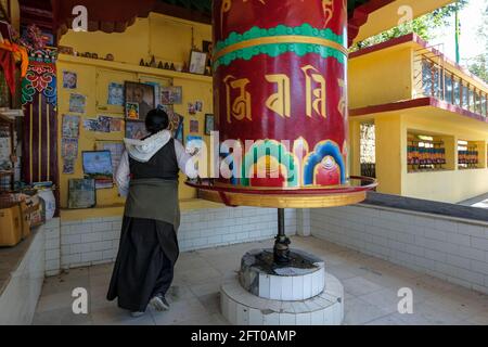 McLeod Ganj, Indien - 2021. Mai: Tibeterin dreht am 21. Mai 2021 in Dharamshala, Himachal Pradesh, ein Gebetsrad im Tsuglagkhang-Komplex. Stockfoto