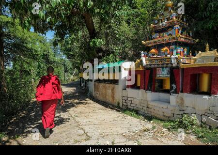 McLeod Ganj, Indien - 2021. Mai: Ein buddhistischer Mönch, der am 21. Mai 2021 in Dharamshala, Himachal Pradesh, Indien, durch den Tsuglagkhang-Komplex spaziert. Stockfoto