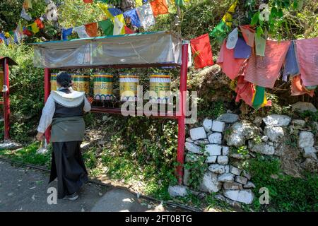 McLeod Ganj, Indien - 2021. Mai: Tibeterin dreht am 21. Mai 2021 in Dharamshala die Gebetsräder um den Tsuglagkhang-Komplex. Stockfoto