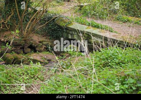 Wasserlauf auf dem Gelände der Keele Hall Stockfoto