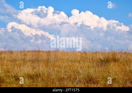 Am Horizont sammeln sich Sturmwolken Stockfoto