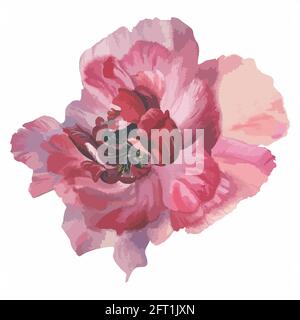 Rosa Aquarell Hand malen Pfingstrose Blume Vektor Stock Vektor