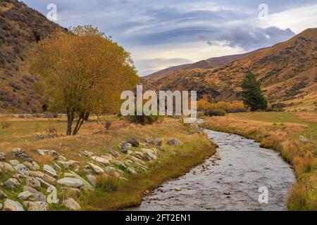 Der Cardrona River, Neuseeland, fließt im Herbst durch die Berglandschaft des Cardrona Valley Stockfoto