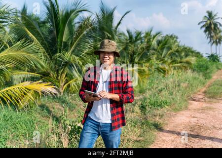 asiatische Landwirtschaft oder Landwirt in einer Kokosnussplantage, Kokosnusspalmen für Kokosnusssaft, trinken Kokosnusswasser in Thailand Stockfoto
