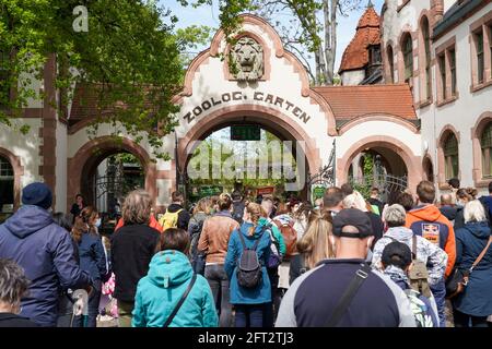 Leipzig, Deutschland. Mai 2021. Zahlreiche Besucher und Gäste der Stadt stehen vor dem Eingang zum Leipziger Zoo an. Am selben Tag begann der Zoo mit dem Bau der Themenwelt „Tierra del Fuego“. Das 30 Millionen Euro teure Projekt ist der zweitgrößte Meilenstein im Masterplan „Zoo der Zukunft“. Unter anderem wird das Tierra del Fuego in Zukunft die Heimat von Seelöwen sein. Kredit: Peter Endig/dpa-Zentralbild/dpa/Alamy Live Nachrichten Stockfoto