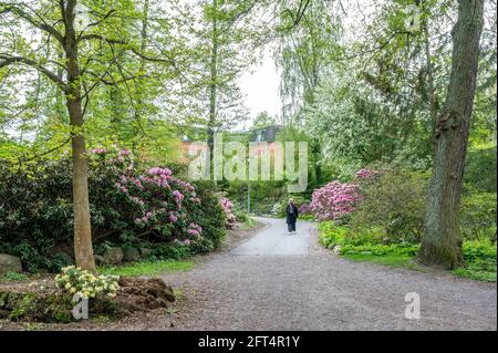 Nicht erkennbare Frau geht im Rhododenron-Tal bei Åbackarna, dem Stadtpark am Motala-Fluss in Norrköping; Schweden Stockfoto