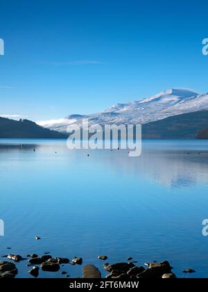 Loch Tay an einem Wintertag mit Ben Lawers Mountain im Hintergrund Stockfoto