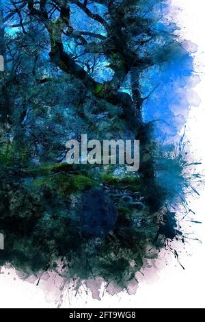 Fabelhafte blaue Blume mit kleinen Lichtern in der Mitte von Ein wilder Wald Stockfoto