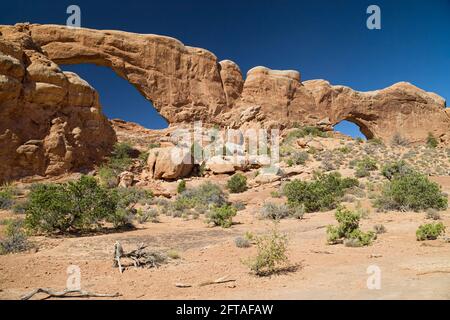 Windows-Sektion im Arches National Park, Utah, USA. Stockfoto