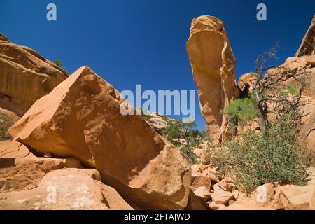 Überreste des eingestürzten Wall Arch im Arches National Park, Utah, USA. Stockfoto