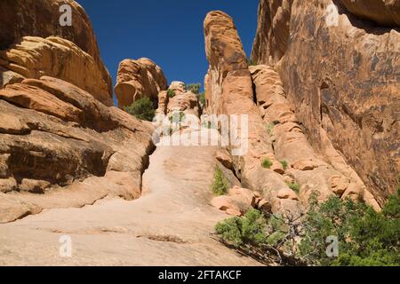 Wall Arch Abschnitt am Devils Garden Trail im Arches National Park, Utah, USA. Stockfoto