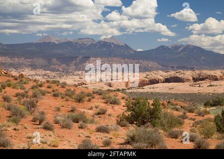 La Sal Mountains aus Arches National Park, Utah, USA. Stockfoto