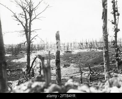 Erster Weltkrieg, 1. Weltkrieg, Westfront - Blick auf Thiepval aus dem Thiepval Wood, Somme Department, Hauts-de-France, Frankreich Stockfoto