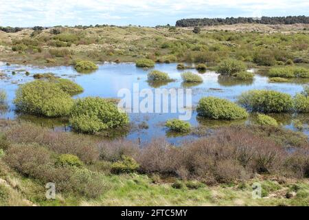 Ainsdale National Nature Reserve Mit Hohem Wasserstand In Dune Slack Mai 2021 Stockfoto