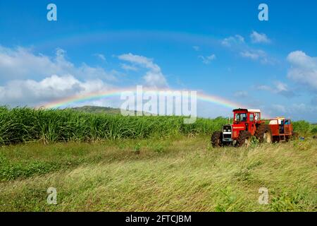 Traktor im Feld mit Regenbogen in blauem Himmel. Stockfoto