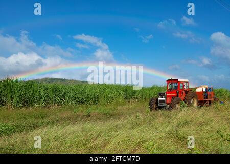 Traktor im Feld mit Regenbogen in blauem Himmel. Stockfoto